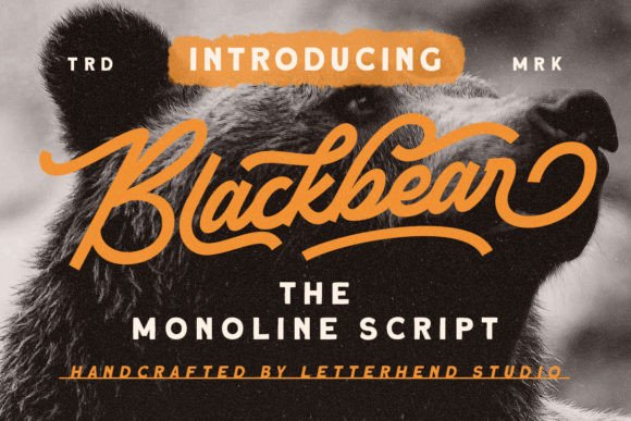 Blackbear: A Versatile Script Typeface for Editorial Design