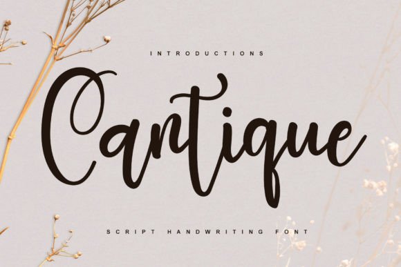 Cantique: The Handwritten Font That Elevates Campaigns